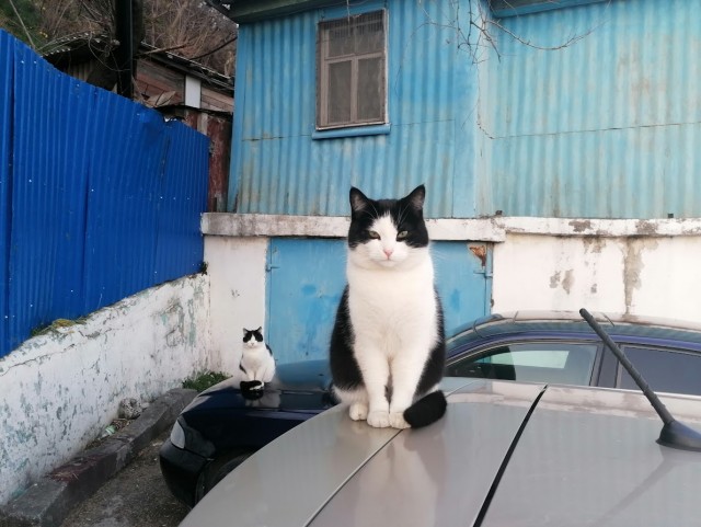 Туапсе времен Российской империи