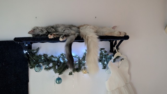 Филя