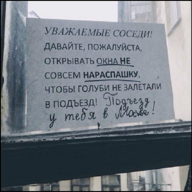 Так себе картинки 12.06.26