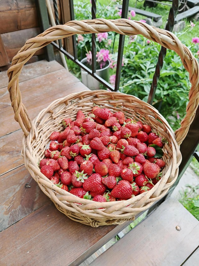 Середина июня