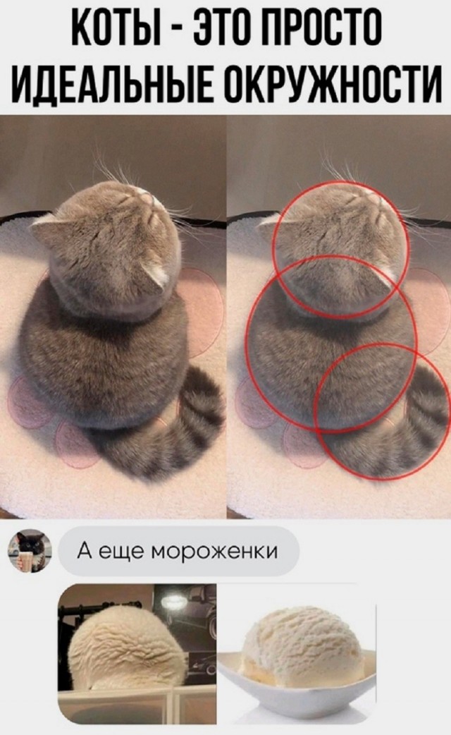 Так себе картинки 16.07.26