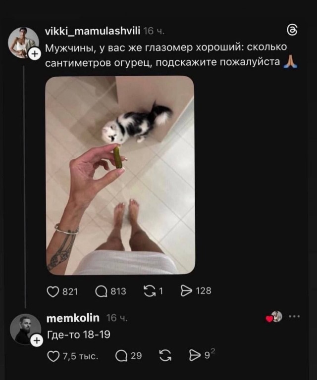 Картинки для деградации 245 (разной степени свежести)