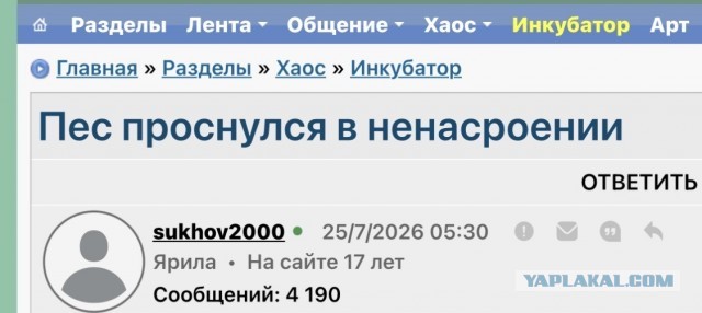 Пес проснулся в ненасроении