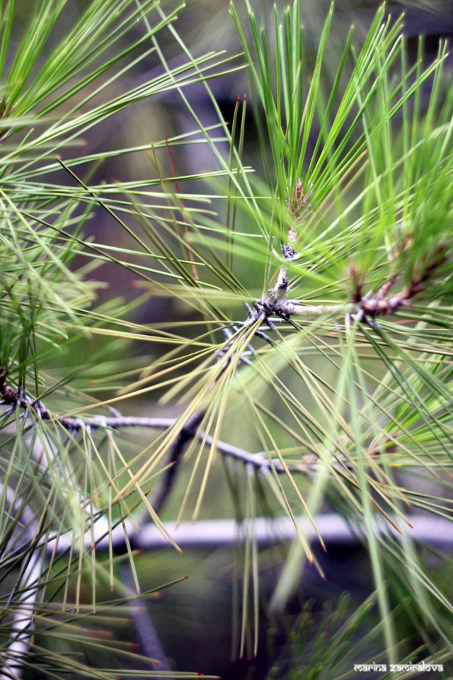 Крым: Судак и окрестности