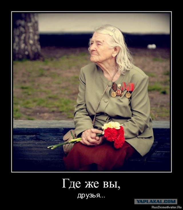 Демотиваторы и просто веселые картинки