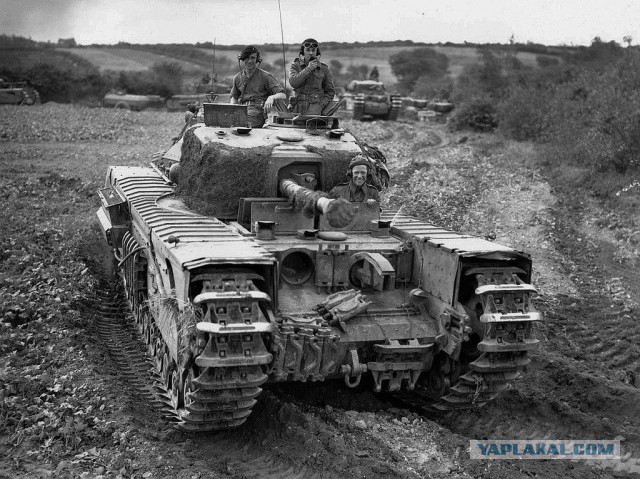 Wargaming 10