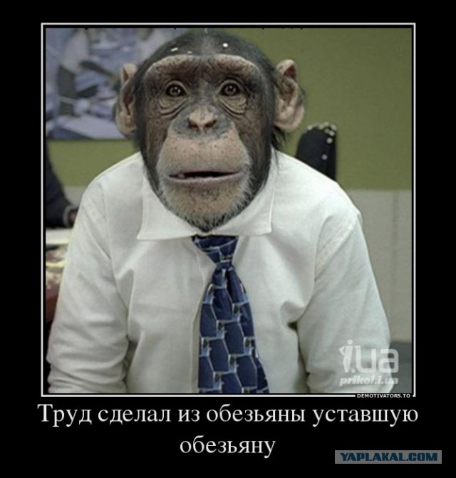 Поднимаем настроение