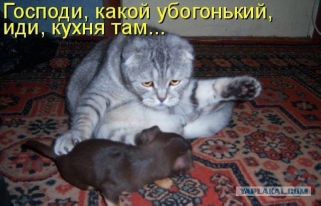 Подборка картинок
