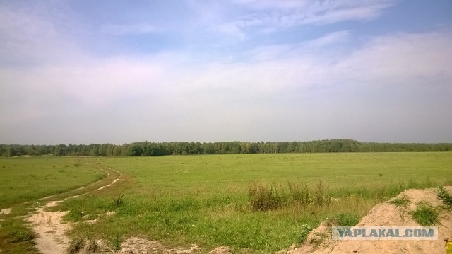 Хочу в Россию.