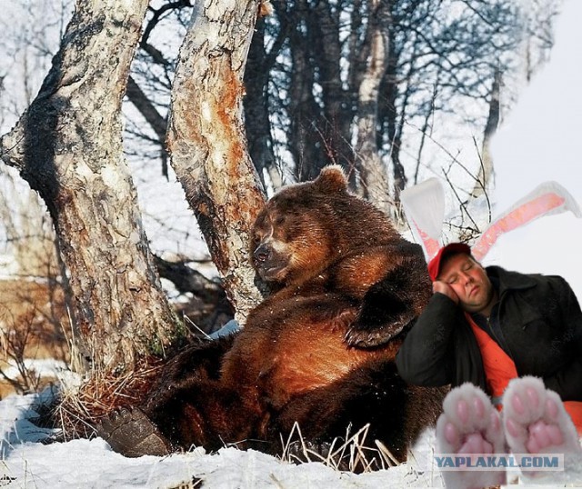 Сон