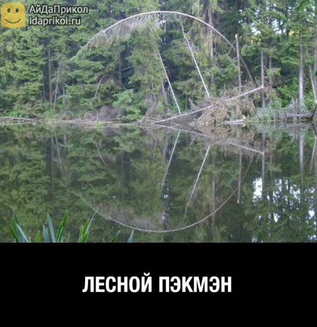 Сборник "баянов" со всего Интернета - 2