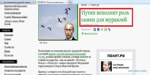 Путин с клювом в халате возглавил журавлиный клин