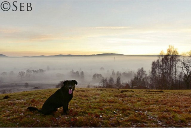 Как видит мир фотограф с синдромом Дауна