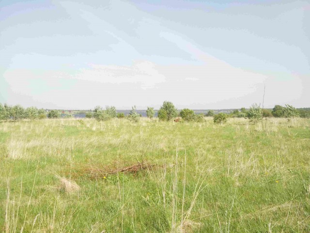 Я узнал, что у меня есть огромная семья