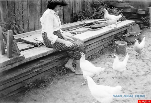 Вот оно какое наше лето!