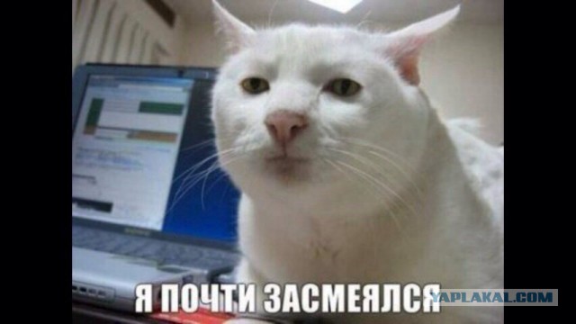 Как купить китайское "г" за пять косарей