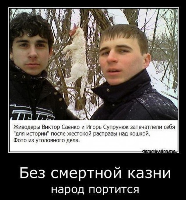 Во Владимире подростки сняли на видео жестокое убийство котёнка