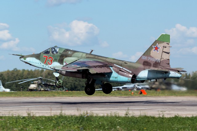 Грач против Бородавочника.