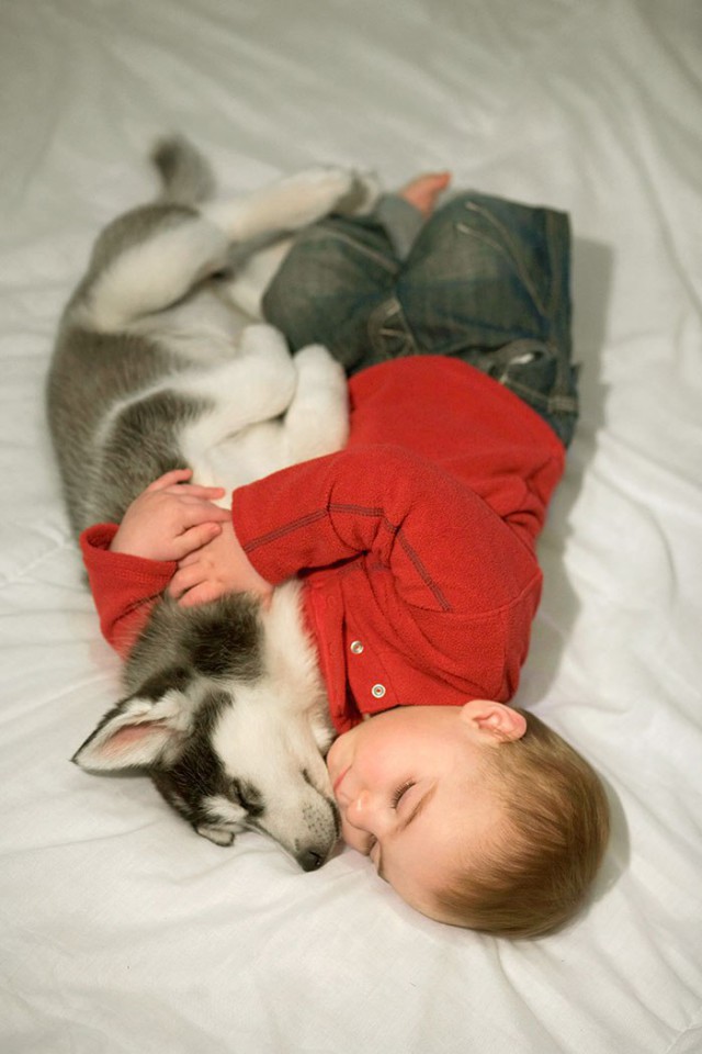 Набористый набор картинок