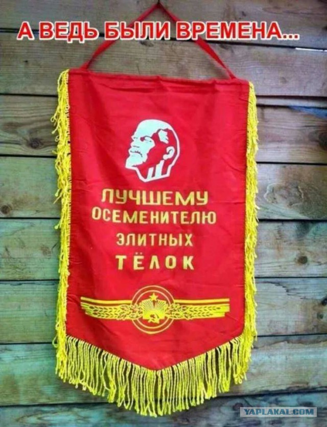 Вперед назад в СССР