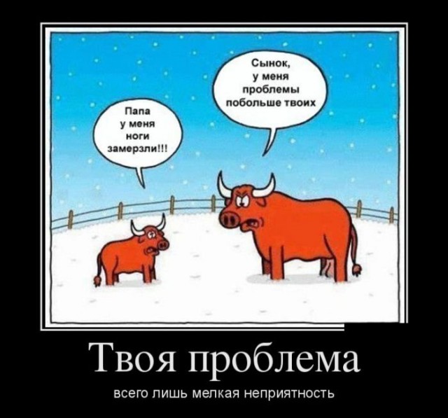 Чутка Демотиваторов на ПН