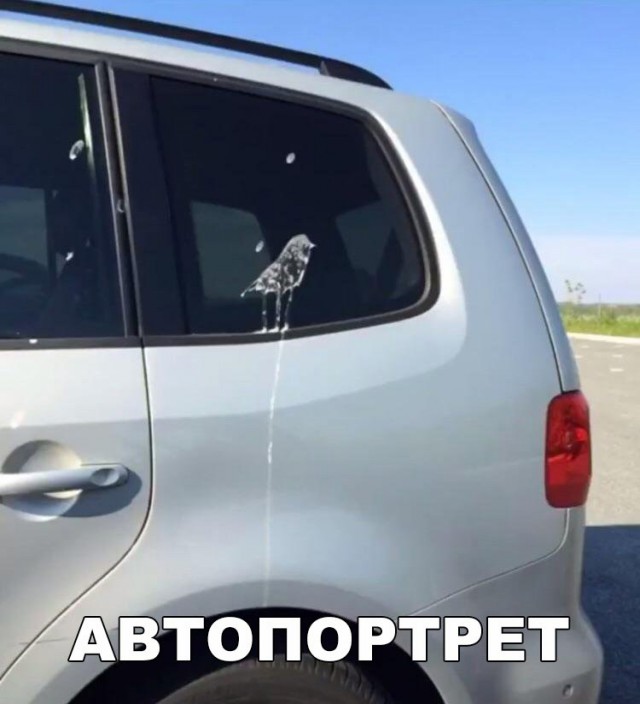 Прикалюхи