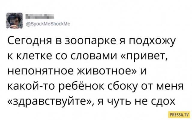 Нестандартный юмор
