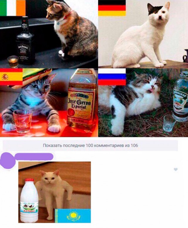 Подборка картинок с котами и про котов