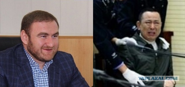 Смотри, как живет сенатор Арашуков, и не делай так