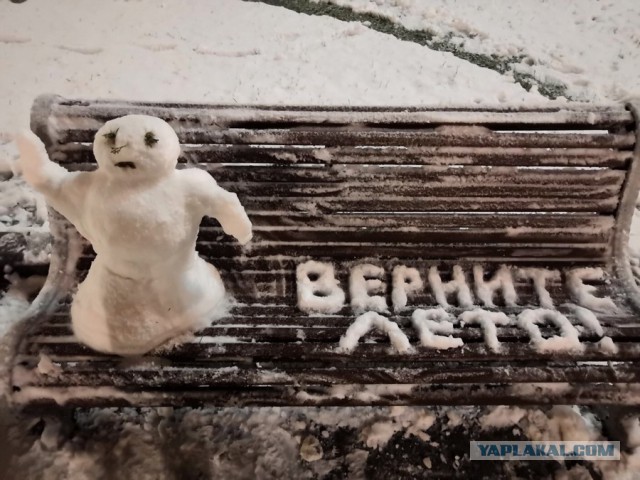 Подборка интересных и веселых картинок 09.02.19