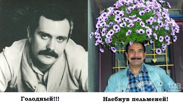Приколюхи из скотсетей