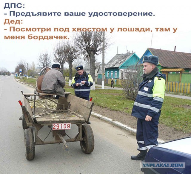 Ничего необычного, просто полиция спрашивает документы у беспилотника «Яндекса»