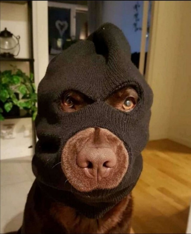Воскресная фотоподборка