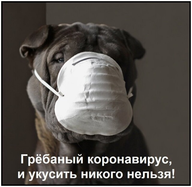 Пара-пара-пам! Фьють!