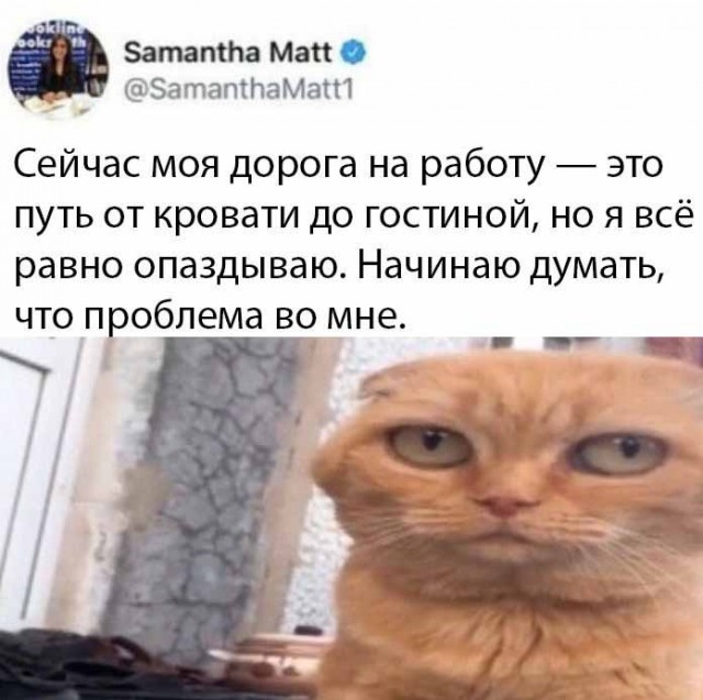 Так себе картинки 21.05.20
