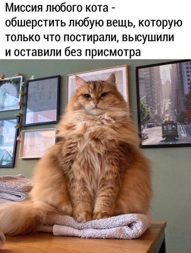 Картинок разных 40 штук
