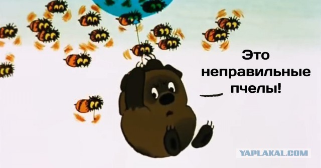 Будущая "Мисс Вселенная"!
