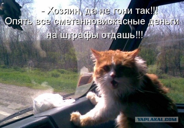 Дама на субару