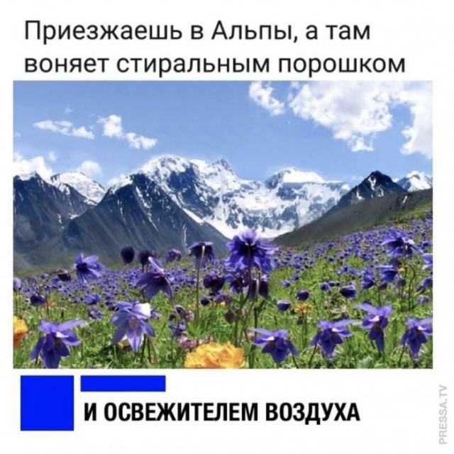 Картинки и мемы для настроения 028