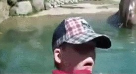 Бегемотик пукнул, с каждым бывает