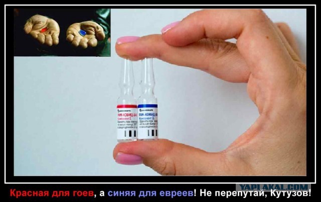 Баранный вируссологический пикчерзз
