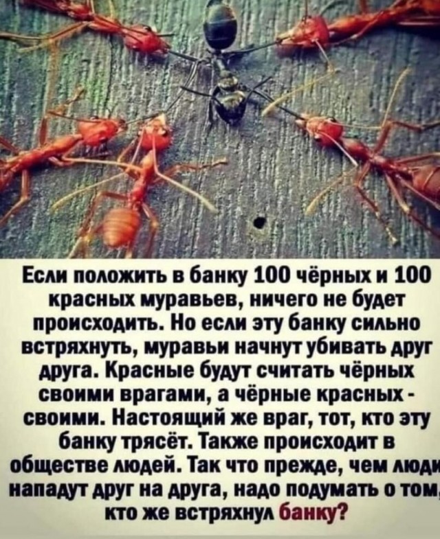 Идиотизм зашкаливает