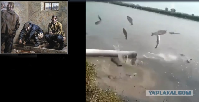 А что это за волшебная труба?