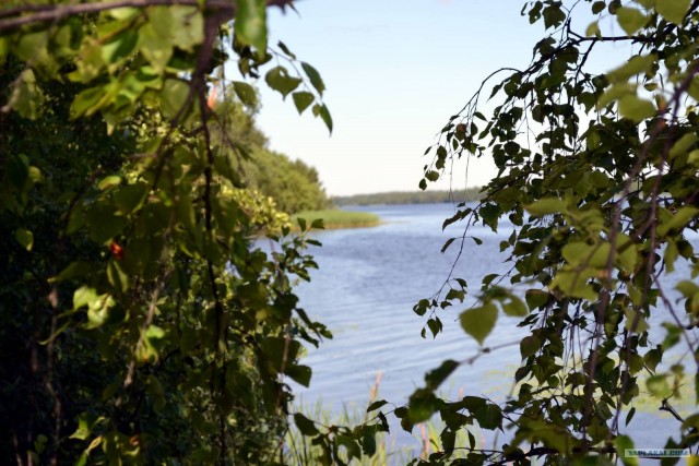 Отдых по-русски.