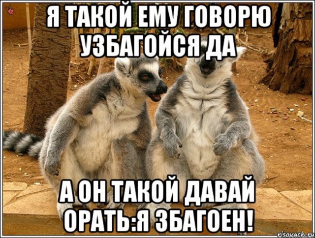 Последнее предупреждение