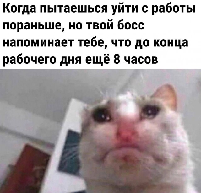 Немного мемчиков. Для взрослых. Часть 14