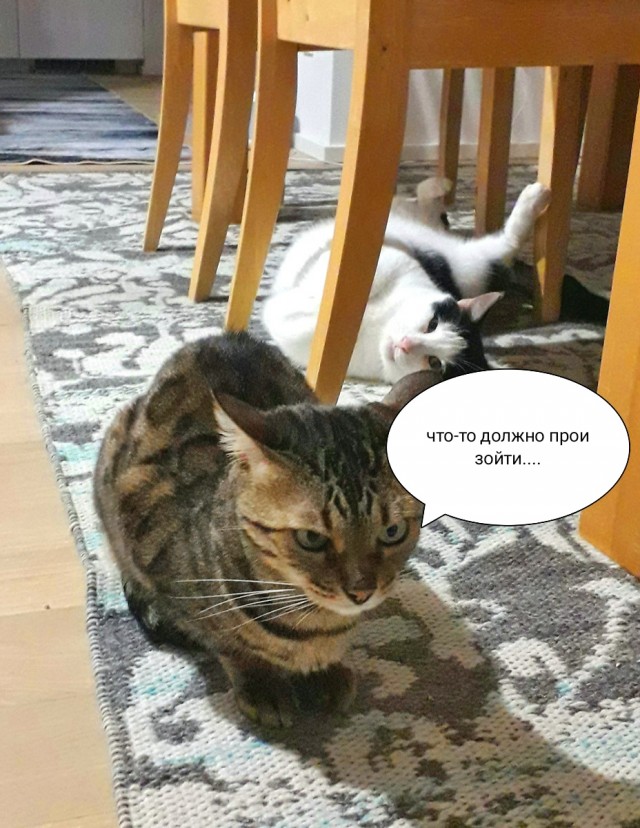 Жизненный путь российской женщины!