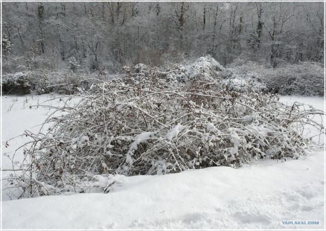 Крым. Терновка. Зимние дороги.