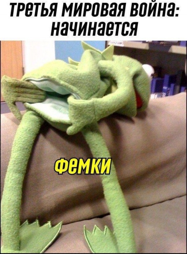 За что "ведут борьбу" современные феминистки ?