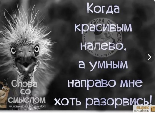 Победная поступь идиотизма по планете – том 10